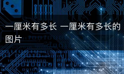 一厘米有多长 一厘米有多长的图片