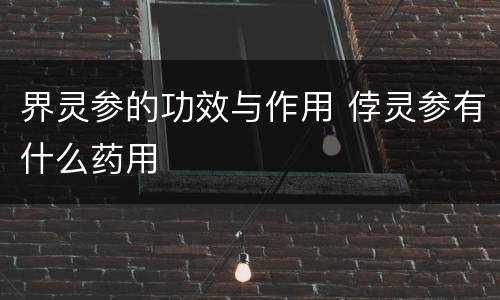 界灵参的功效与作用 侼灵参有什么药用