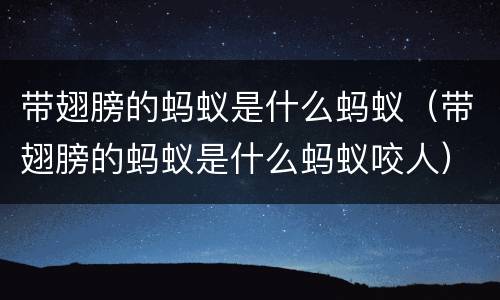 带翅膀的蚂蚁是什么蚂蚁（带翅膀的蚂蚁是什么蚂蚁咬人）