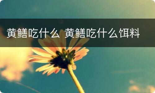 黄鳝吃什么 黄鳝吃什么饵料