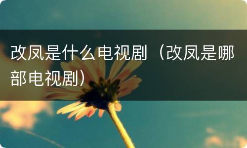 改凤是什么电视剧（改凤是哪部电视剧）