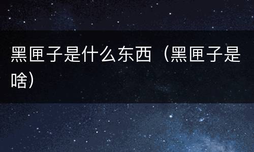 黑匣子是什么东西（黑匣子是啥）