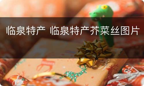 临泉特产 临泉特产芥菜丝图片