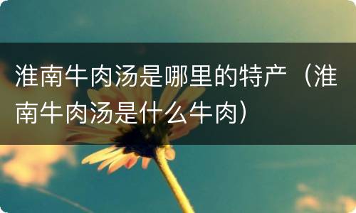 淮南牛肉汤是哪里的特产（淮南牛肉汤是什么牛肉）