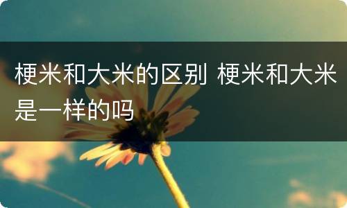 梗米和大米的区别 梗米和大米是一样的吗