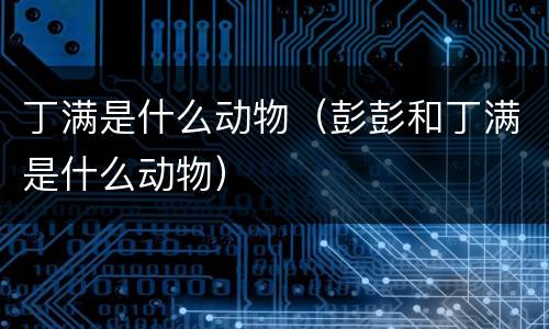 丁满是什么动物（彭彭和丁满是什么动物）