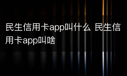 民生信用卡app叫什么 民生信用卡app叫啥