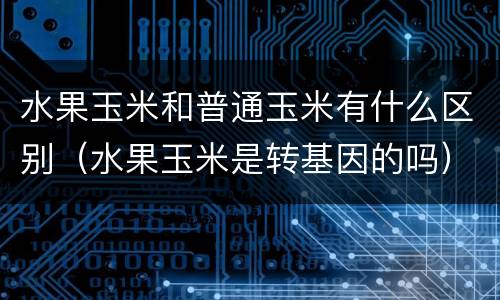 水果玉米和普通玉米有什么区别（水果玉米是转基因的吗）