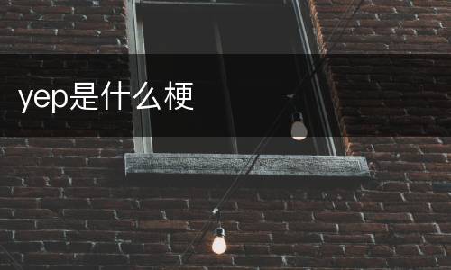 yep是什么梗