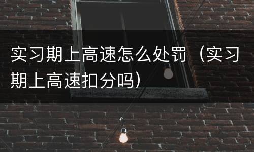 实习期上高速怎么处罚（实习期上高速扣分吗）