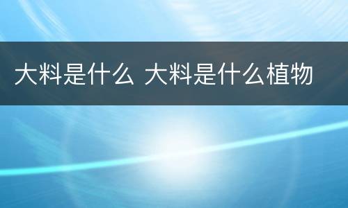 大料是什么 大料是什么植物