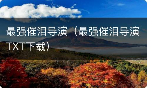 最强催泪导演（最强催泪导演TXT下载）