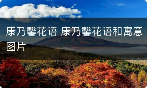 康乃馨花语 康乃馨花语和寓意图片