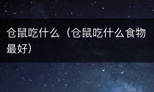 仓鼠吃什么（仓鼠吃什么食物最好）