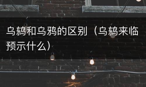 乌鸫和乌鸦的区别（乌鸫来临预示什么）