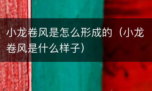 小龙卷风是怎么形成的（小龙卷风是什么样子）