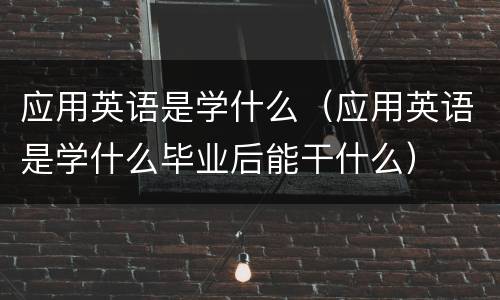应用英语是学什么（应用英语是学什么毕业后能干什么）
