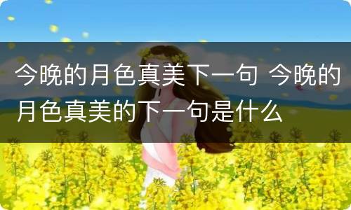今晚的月色真美下一句 今晚的月色真美的下一句是什么