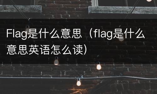 Flag是什么意思（flag是什么意思英语怎么读）