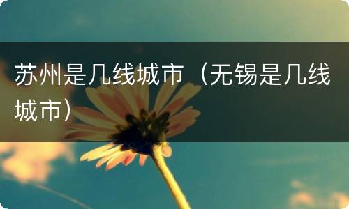 苏州是几线城市（无锡是几线城市）