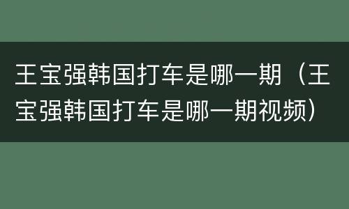 王宝强韩国打车是哪一期（王宝强韩国打车是哪一期视频）