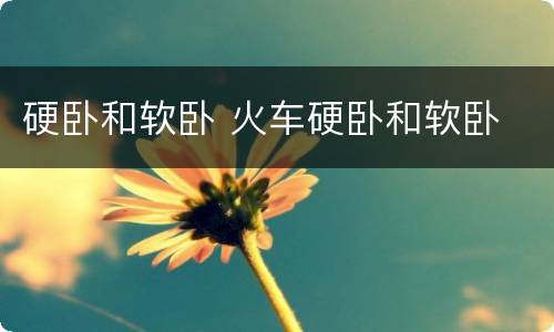 硬卧和软卧 火车硬卧和软卧