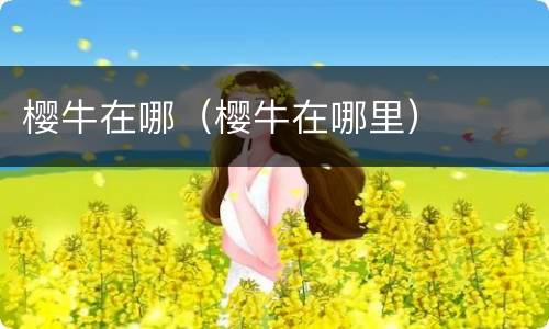 樱牛在哪（樱牛在哪里）
