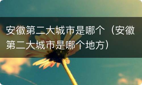 安徽第二大城市是哪个（安徽第二大城市是哪个地方）
