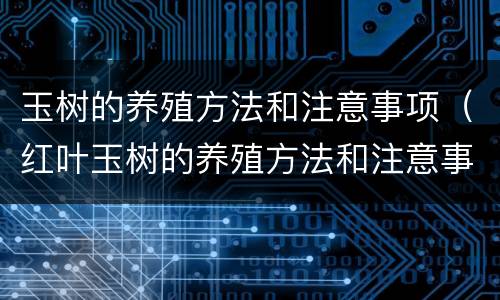 玉树的养殖方法和注意事项（红叶玉树的养殖方法和注意事项）