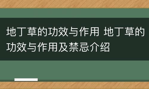 地丁草的功效与作用 地丁草的功效与作用及禁忌介绍