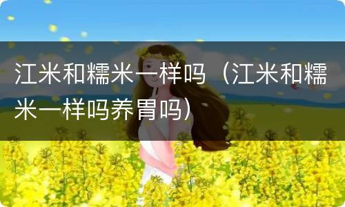 江米和糯米一样吗（江米和糯米一样吗养胃吗）