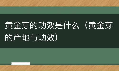 黄金芽的功效是什么（黄金芽的产地与功效）