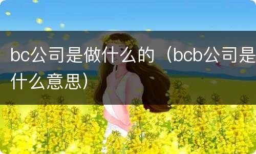 bc公司是做什么的（bcb公司是什么意思）