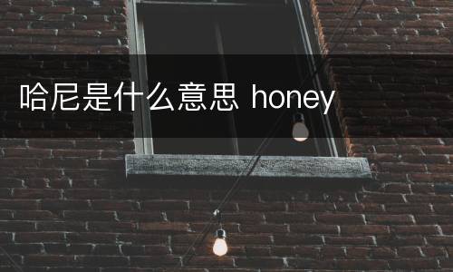 哈尼是什么意思 honey