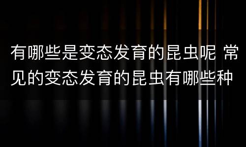 有哪些是变态发育的昆虫呢 常见的变态发育的昆虫有哪些种类