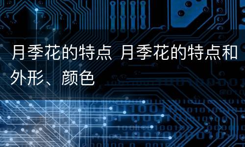 月季花的特点 月季花的特点和外形、颜色