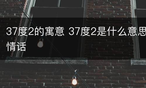37度2的寓意 37度2是什么意思情话