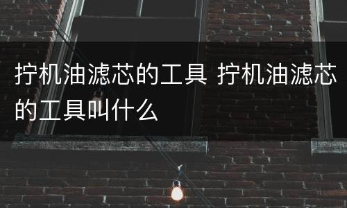 拧机油滤芯的工具 拧机油滤芯的工具叫什么