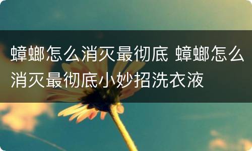 蟑螂怎么消灭最彻底 蟑螂怎么消灭最彻底小妙招洗衣液