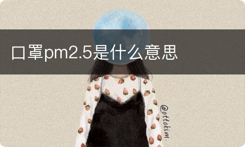 口罩pm2.5是什么意思