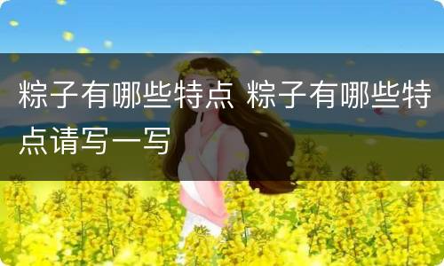 粽子有哪些特点 粽子有哪些特点请写一写