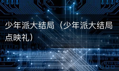 少年派大结局（少年派大结局点映礼）