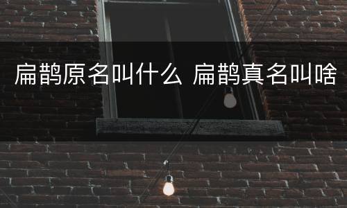 扁鹊原名叫什么 扁鹊真名叫啥