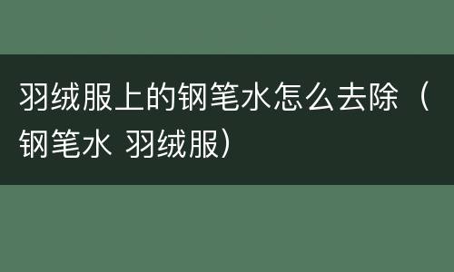 羽绒服上的钢笔水怎么去除（钢笔水 羽绒服）