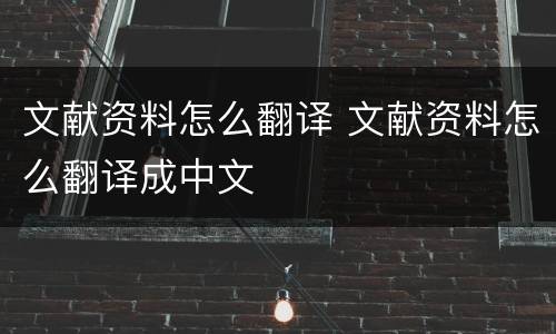 文献资料怎么翻译 文献资料怎么翻译成中文
