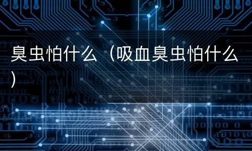 臭虫怕什么（吸血臭虫怕什么）