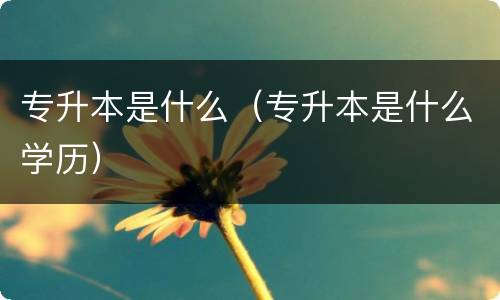 专升本是什么（专升本是什么学历）