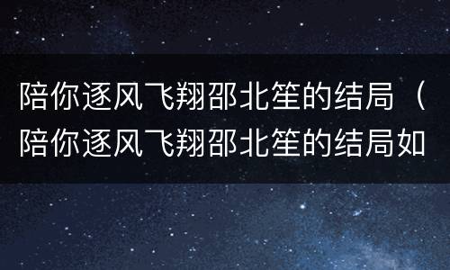 陪你逐风飞翔邵北笙的结局（陪你逐风飞翔邵北笙的结局如何）