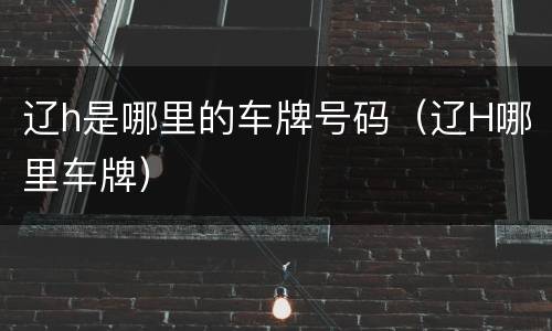 辽h是哪里的车牌号码（辽H哪里车牌）
