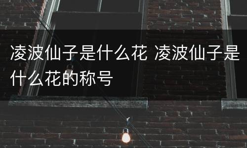 凌波仙子是什么花 凌波仙子是什么花的称号